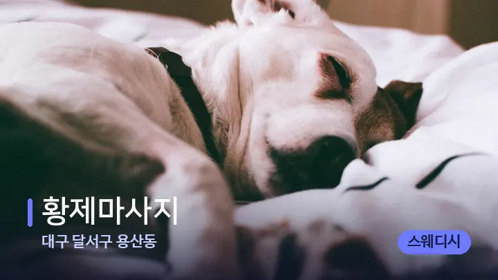 대구 달서구 용산동 황제마사지 — 휴식 분위기의 스파 베드