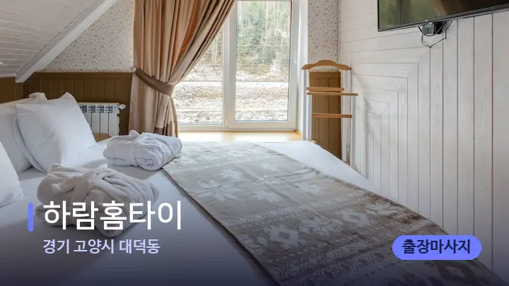 경기 고양시 대덕동 하람홈타이 — 휴식 분위기의 스파 베드