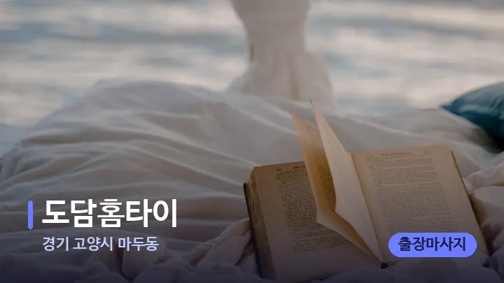 경기 고양시 마두동 도담홈타이 — 휴식 분위기의 스파 베드