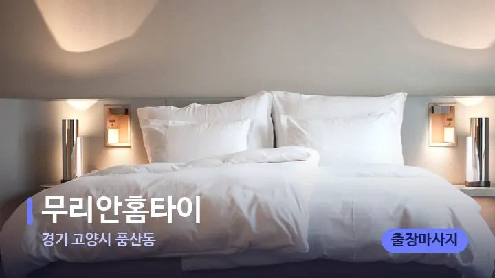 경기 고양시 풍산동 무리안홈타이 — 휴식 분위기의 스파 베드