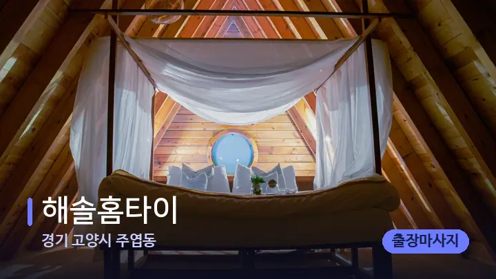 경기 고양시 주엽동 해솔홈타이 — 휴식 분위기의 스파 베드