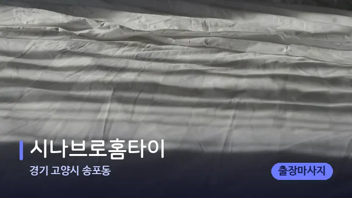 경기 고양시 송포동 시나브로홈타이 — 휴식 분위기의 스파 베드