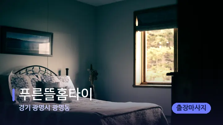 경기 광명시 광명동 푸른뜰홈타이 — 휴식 분위기의 스파 베드