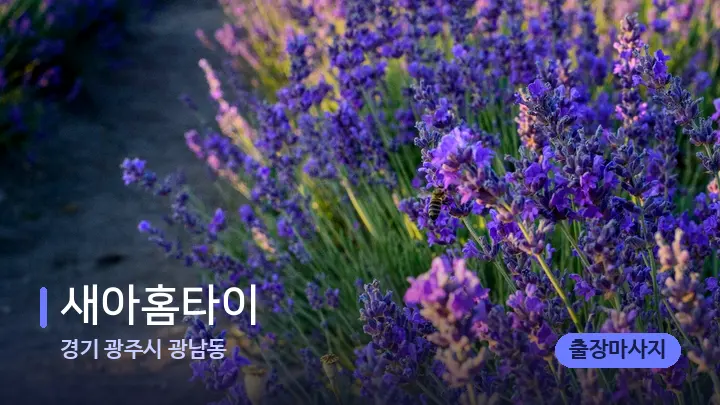 경기 광주시 광남동 새아홈타이 — 아로마테라피 오일
