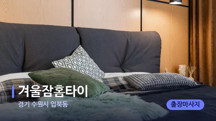 경기 수원시 입북동 겨울잠홈타이 — 휴식 분위기의 스파 베드
