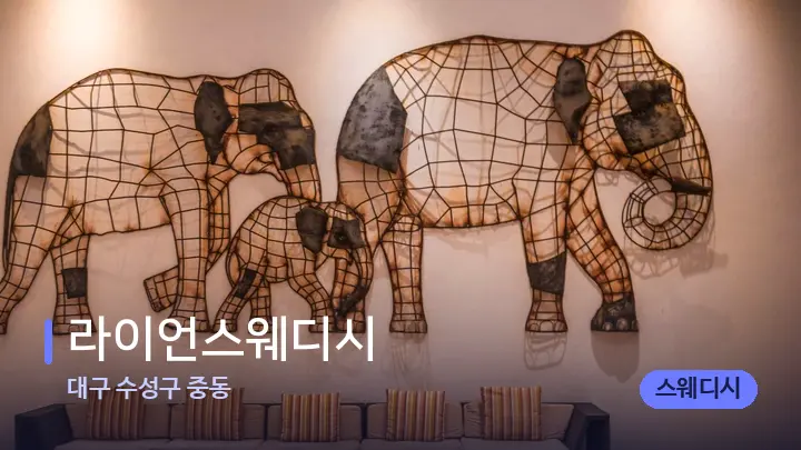 대구 수성구 중동 라이언스웨디시 — 스파 프런트 공간