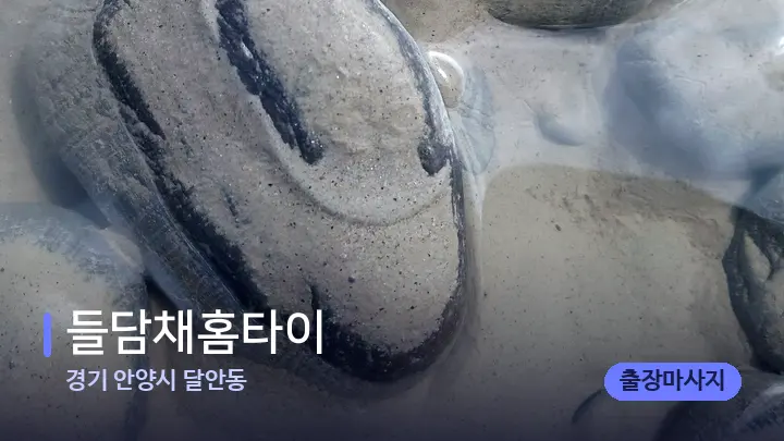 경기 안양시 달안동 들담채홈타이 — 마사지용 스톤