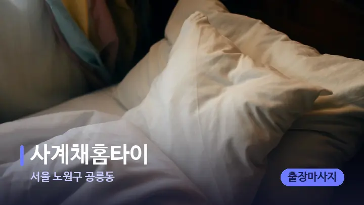 서울 노원구 공릉동 사계채홈타이 — 휴식 분위기의 스파 베드