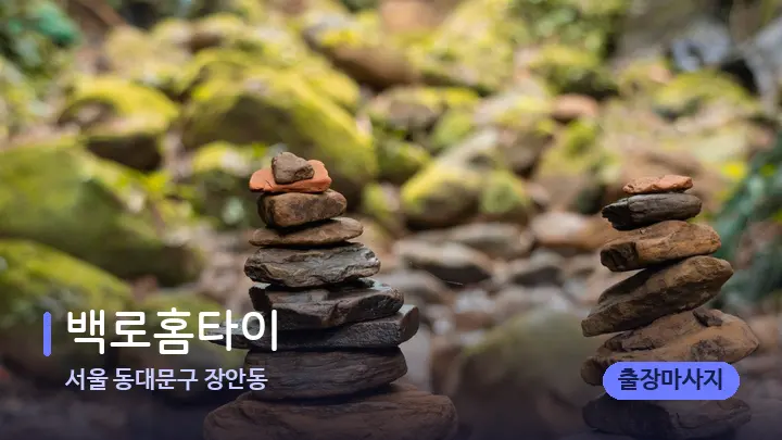 서울 동대문구 장안동 백로홈타이 — 마사지용 스톤