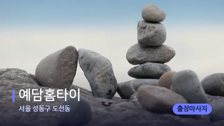 서울 성동구 도선동 예담홈타이 — 마사지용 스톤