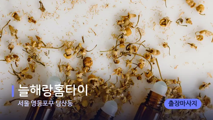 서울 영등포구 당산동 늘해랑홈타이 — 아로마테라피 오일