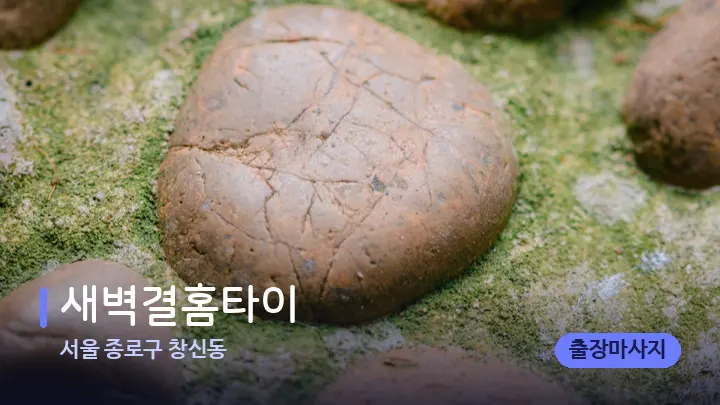 서울 종로구 창신동 새벽결홈타이 — 마사지용 스톤