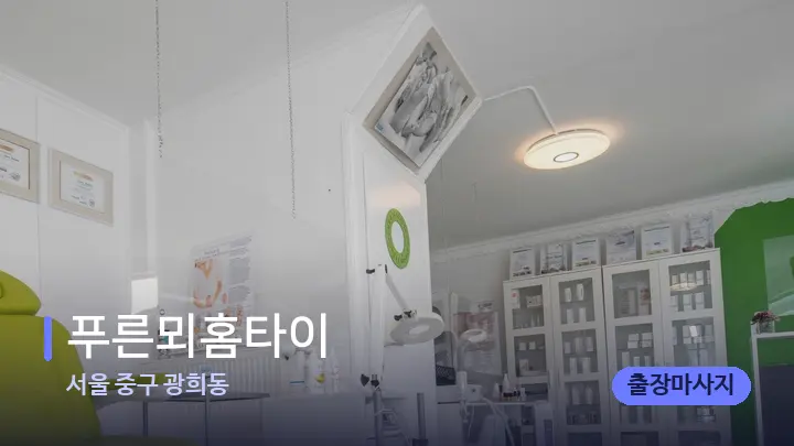 서울 중구 광희동 푸른뫼홈타이 — 웰니스 스파 공간
