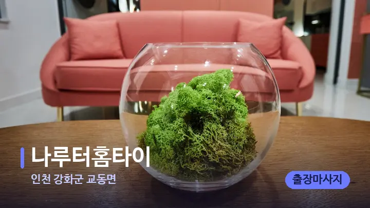 인천 강화군 교동면 나루터홈타이 — 스파 프런트 공간