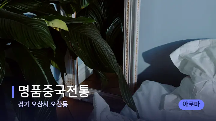 경기 오산시 오산동 명품중국전통 — 휴식 분위기의 스파 베드