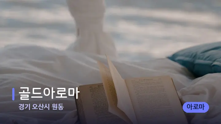 경기 오산시 원동 골드아로마 — 휴식 분위기의 스파 베드