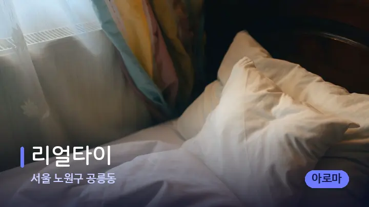 서울 노원구 공릉동 리얼타이 — 휴식 분위기의 스파 베드