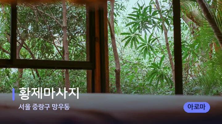 서울 중랑구 망우동 황제마사지 — 휴식 분위기의 스파 베드