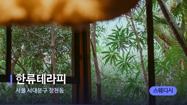 서울 서대문구 창천동 한류테라피 — 휴식 분위기의 스파 베드