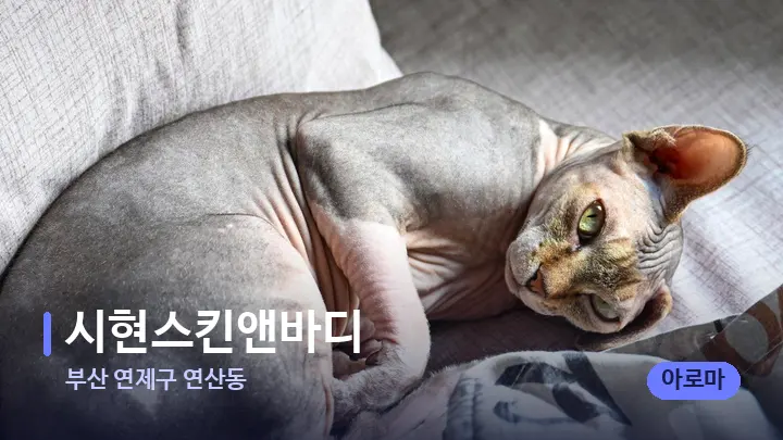 부산 연제구 연산동 시현스킨앤바디 — 휴식 분위기의 스파 베드