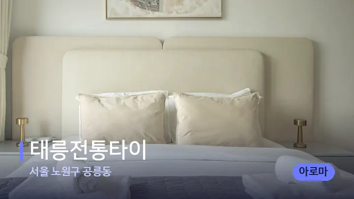 서울 노원구 공릉동 태릉전통타이 — 휴식 분위기의 스파 베드