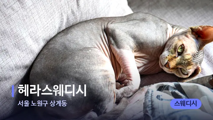 서울 노원구 상계동 헤라스웨디시 — 휴식 분위기의 스파 베드