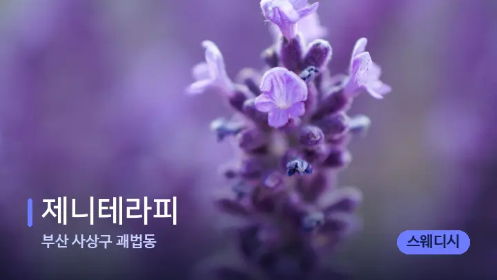 부산 사상구 괘법동 제니테라피 — 아로마테라피 오일