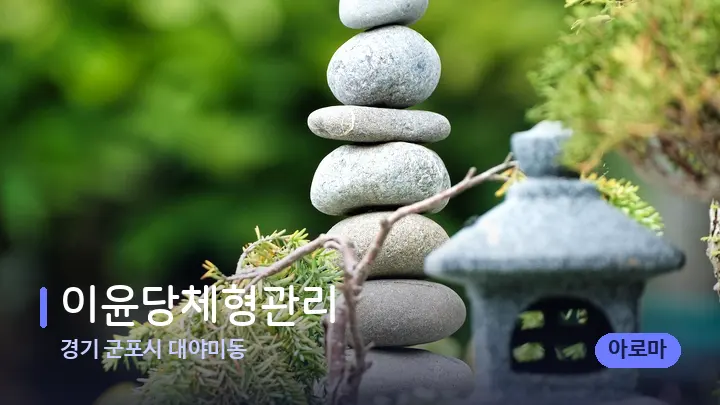 경기 군포시 대야미동 이윤당체형관리 — 마사지용 스톤