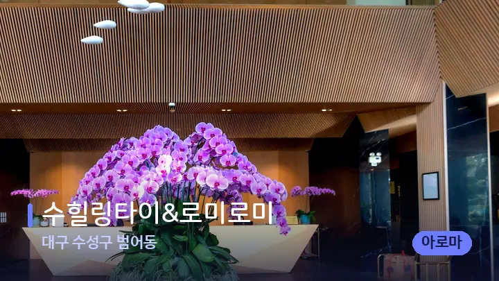 대구 수성구 범어동 수힐링타이&로미로미 — 스파 프런트 공간