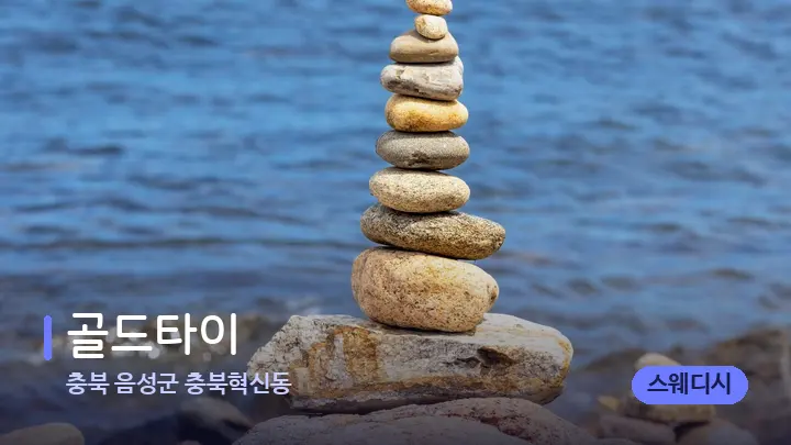 충북 음성군 충북혁신동 골드타이 — 마사지용 스톤