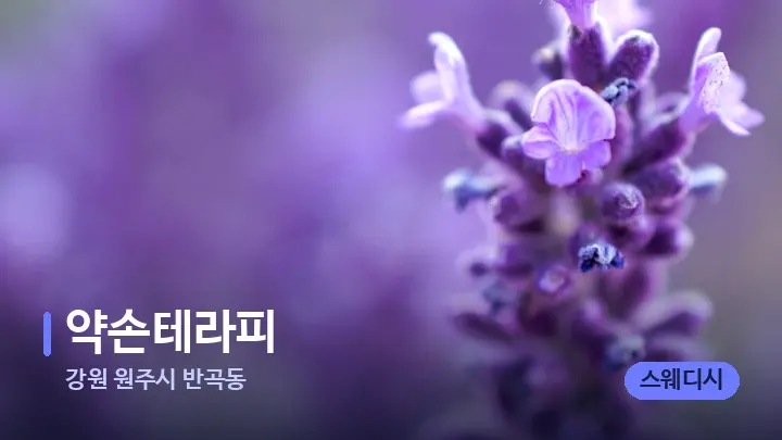 강원 원주시 반곡동 약손테라피 — 아로마테라피 오일