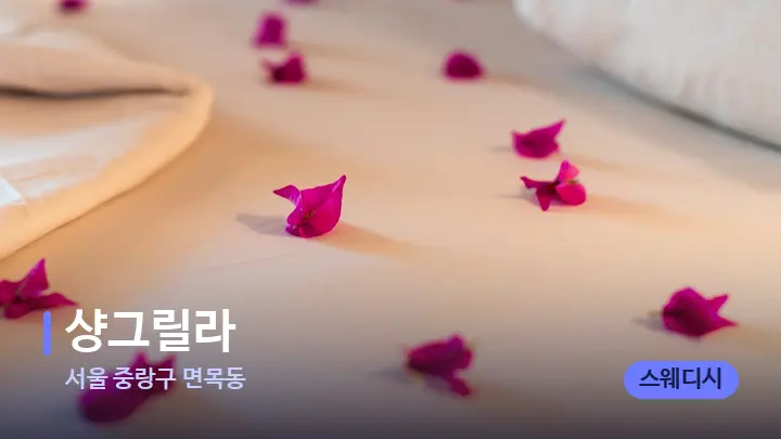 서울 중랑구 면목동 샹그릴라 — 휴식 분위기의 스파 베드