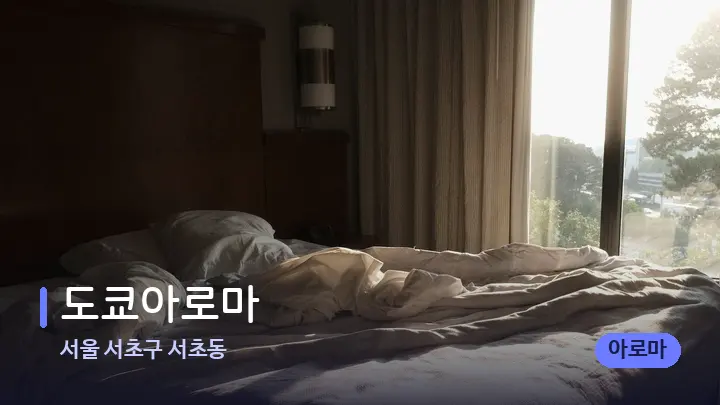 서울 서초구 서초동 도쿄아로마 — 휴식 분위기의 스파 베드