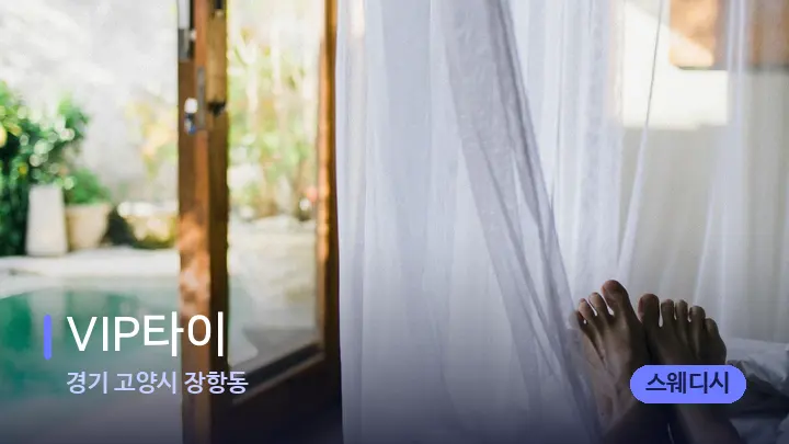 경기 고양시 장항동 VIP타이 — 휴식 분위기의 스파 베드