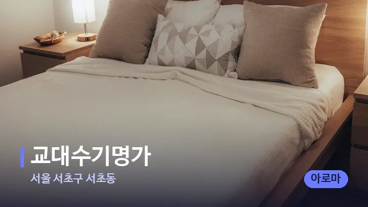 서울 서초구 서초동 교대수기명가 — 휴식 분위기의 스파 베드