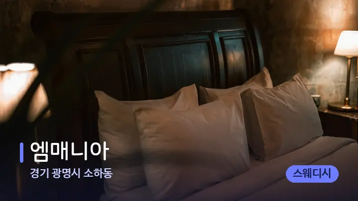 경기 광명시 소하동 엠매니아 — 휴식 분위기의 스파 베드