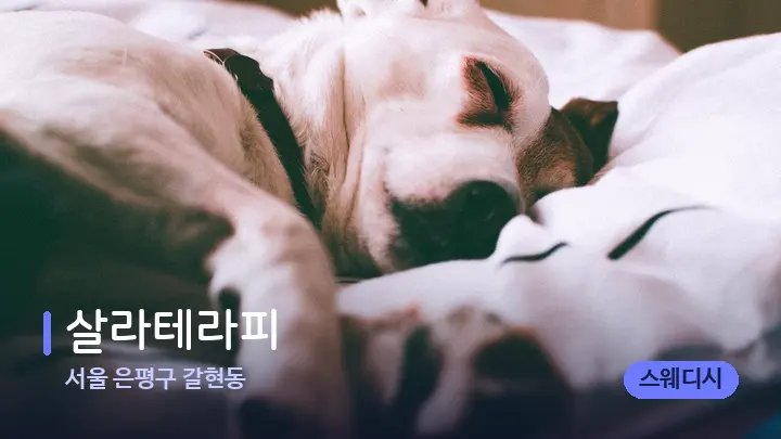 서울 은평구 갈현동 살라테라피 — 휴식 분위기의 스파 베드