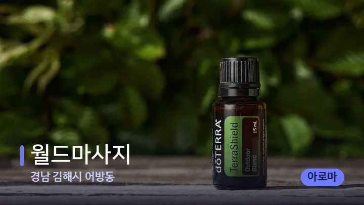 경남 김해시 어방동 월드마사지 — 아로마테라피 오일