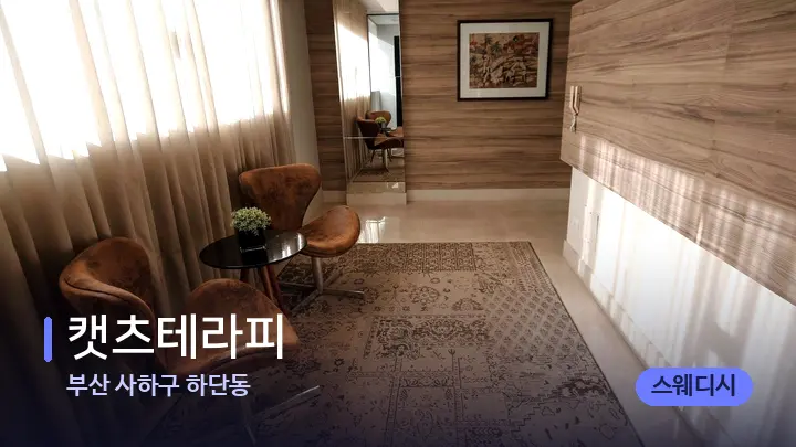 부산 사하구 하단동 캣츠테라피 — 스파 프런트 공간
