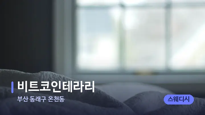 부산 동래구 온천동 비트코인테라리 — 휴식 분위기의 스파 베드