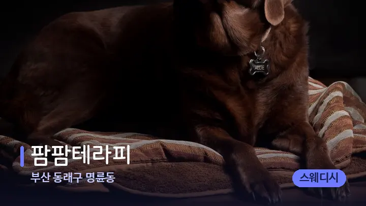 부산 동래구 명륜동 팜팜테라피 — 휴식 분위기의 스파 베드