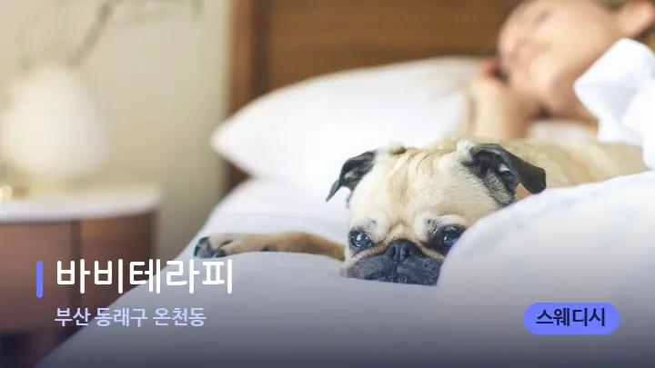 부산 동래구 온천동 바비테라피 — 휴식 분위기의 스파 베드
