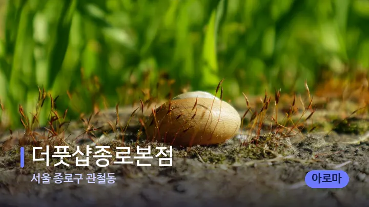 서울 종로구 관철동 더풋샵종로본점 — 마사지용 스톤