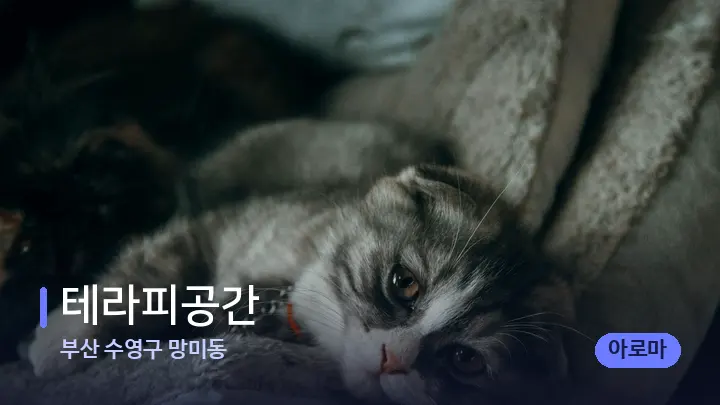 부산 수영구 망미동 테라피공간 — 휴식 분위기의 스파 베드