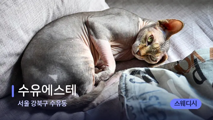 서울 강북구 수유동 수유에스테 — 휴식 분위기의 스파 베드