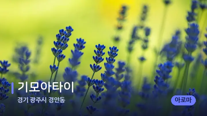 경기 광주시 경안동 기모아타이 — 아로마테라피 오일
