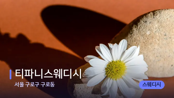 서울 구로구 구로동 티파니스웨디시 — 마사지용 스톤