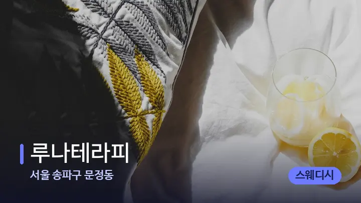 서울 송파구 문정동 루나테라피 — 휴식 분위기의 스파 베드