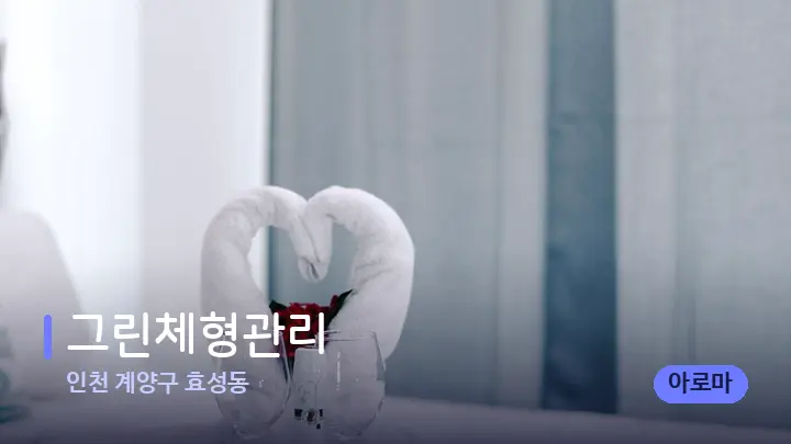 인천 계양구 효성동 그린체형관리 — 마사지 베드가 놓인 관리실