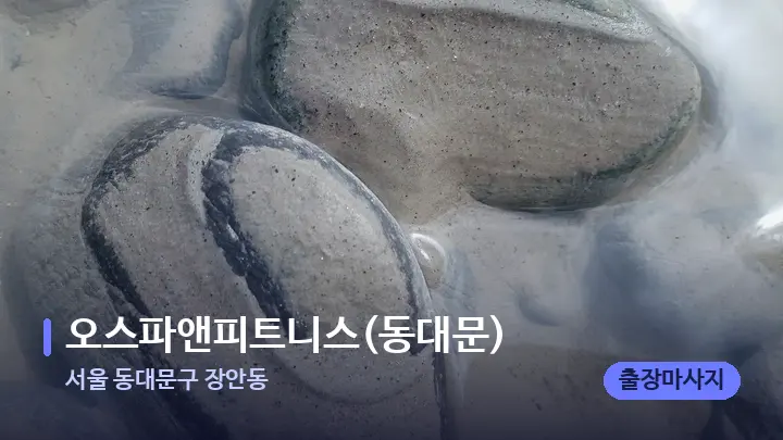 서울 동대문구 장안동 오스파앤피트니스(동대문) — 마사지용 스톤